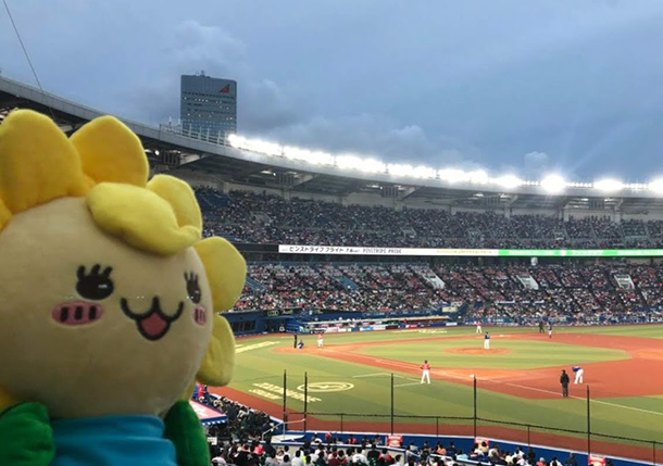 千葉ロッテマリーンズの試合を見に、ＺＯＺＯマリンスタジアムに来たよ！