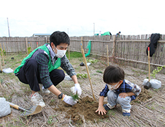 今年もみんなでひまわりの苗を植えたよ！