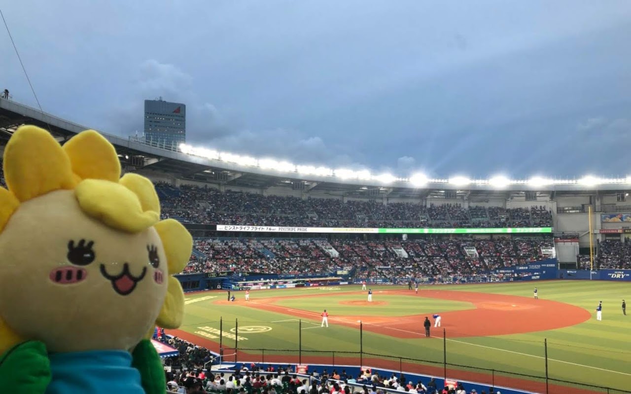 千葉ロッテマリーンズの試合を見に、ＺＯＺＯマリンスタジアムに来たよ！