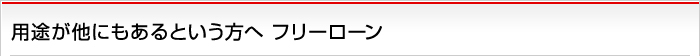 用途が他にもあるという方へ フリーローン