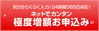 約3分らくらく入力！24時間365日対応！ ネットでカンタン極度増額お申込み