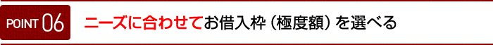 ニーズに合わせて お借入枠（極度額）を選べる