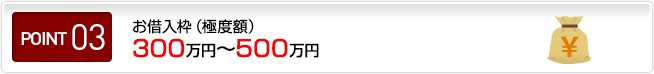 ポイント03 お借入枠（極度額）300万円～500万円