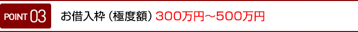 ポイント03 お借入枠（極度額）300万円～500万円