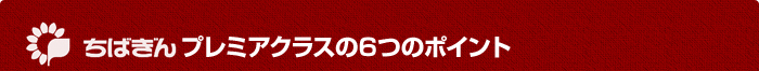 ちばぎんプレミアクラスの6つのポイント