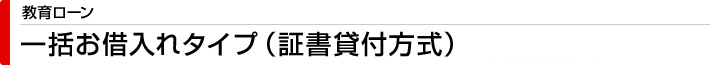 教育ローン　一括お借入れタイプ（証書貸付方式）