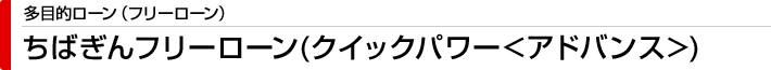 多目的ローン（フリーローン） ちばぎんフリーローン