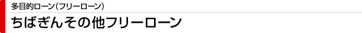 ちばぎんその他フリーローン