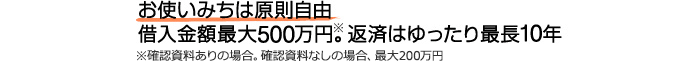 お使いみちは原則自由。借入金額最大500万円※。返済はゆったり最長10年※確認資料ありの場合。確認資料なしの場合、最大200万円