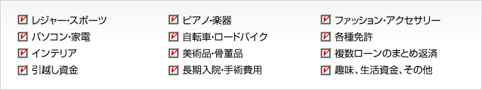 レジャー･スポーツ パソコン家電 インテリア 引越し資金 ピアノ・楽器 自転車・ロードバイク 美術品・骨董品 長期入院・手術費用 ファッション・アクセサリー 各種免許 複数ローンのまとめ返済 趣味、生活資金、その他