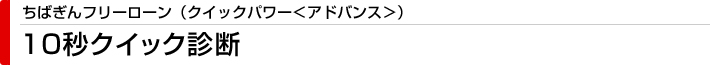 ちばぎんフリーローン（クイックパワー＜アドバンス＞）　10秒クイック診断