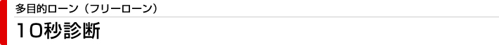 多目的ローン（フリーローン）　10秒診断