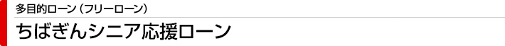 ちばぎんシニア応援ローン