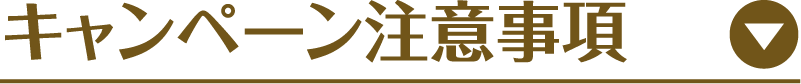 キャンペーン注意事項