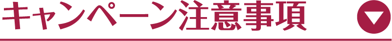 キャンペーン注意事項