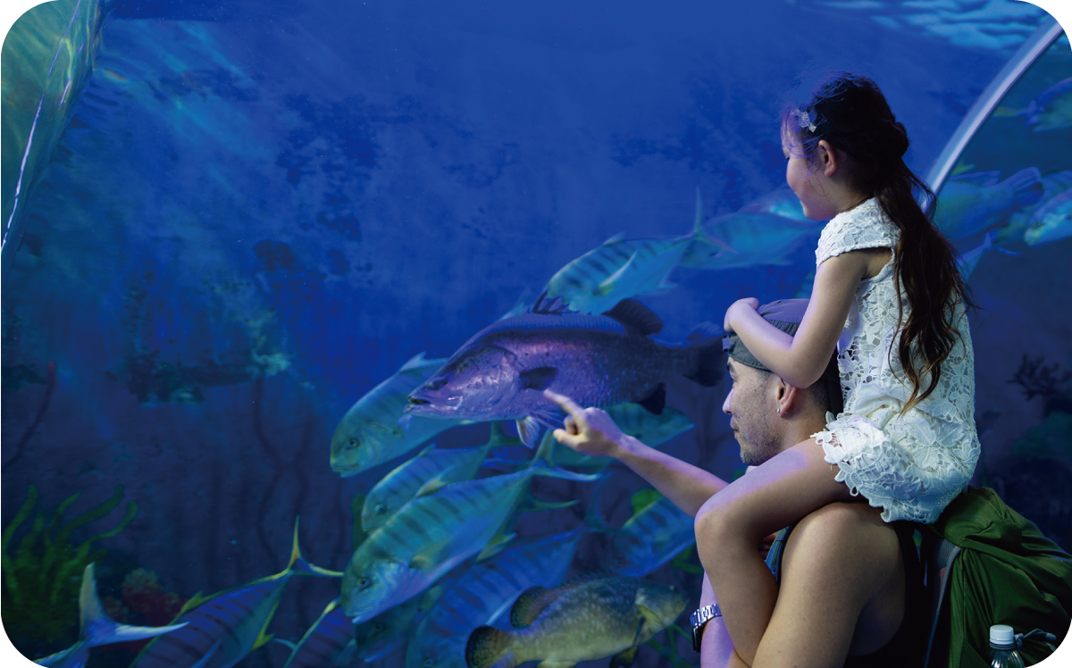 鴨川シーワールドの写真