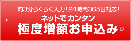 約3分らくらく入力！24時間365日対応！ ネットでかんたん極度増額お申込み