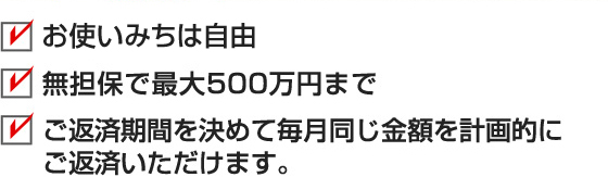 お使いみちは自由　無担保で最大800万円まで　ご返済期間を決めて毎月同じ金額を計画的にご返済いただけます。