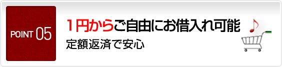 POINT5 1円からご自由にお借入れ可能 定額返済で安心