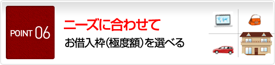 POINT6 ニーズに合わせてお借入枠（極度額）を選べる