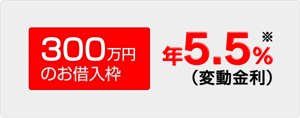 300万円のお借入枠 年5.5％※（変動金利）