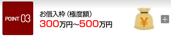 POINT3 お借入枠（極度額）300万円～500万円