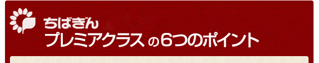 ちばぎんカードローン プレミアクラスの6つのポイント