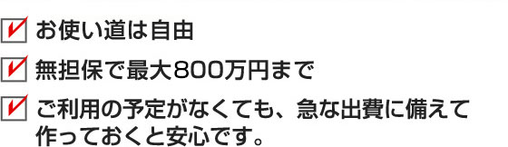 お使いみちは自由　無担保で最大800万円まで　ご利用の予定がなくても、急な出費に備えて作っておくと安心です。