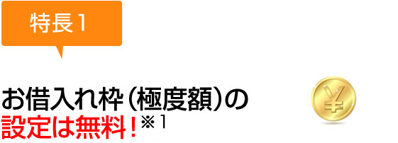 お借入れ枠（極度額）の設定は無料！