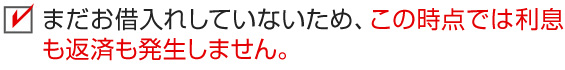 まだお借入れしていないため、この時点では利息も返済も発生しません。