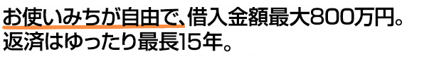 お使いみちが自由で、借入金額最大800万円。返済はゆったり最長15年