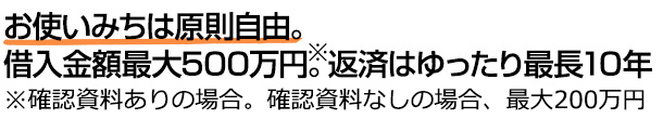 お使いみちは原則自由。借入金額最大500万円。返済はゆったり最長10年