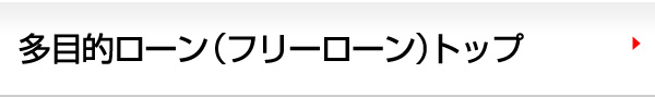 多目的ローン（フリーローン）トップ