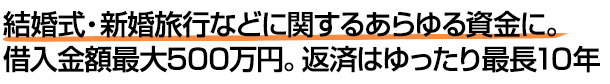 結婚式・新婚旅行などに関するあらゆる資金に。借入金額最大500万円。返済はゆったり最長10年