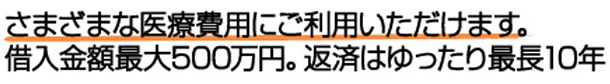 さまざまな医療費用にご利用いただけます。借入金額最大500万円。返済はゆったり最長10年