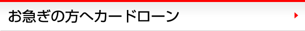 お急ぎの方へカードローン