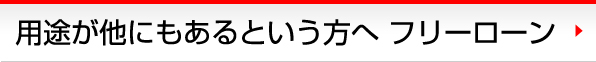 用途が他にもあるという方へ　フリーローン