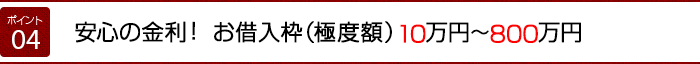 安心の金利！ お借入枠（極度額）10万円～800万円