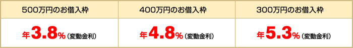 500万円のお借入枠 年3.8%(変動金利) 400万円のお借入枠 年4.8%(変動金利) 300万円のお借入枠 年5.3%(変動金利)